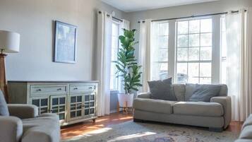 Smart TV, fireplace, books