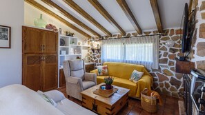 Télévision, cheminée, lecteur de DVD, chaîne hi-fi