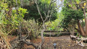 Duplex | Garden view