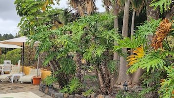 Jardín