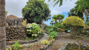 Garden - Oasis Hill Botanical Garden (Icod de los Vinos)