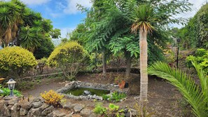 Garden - Oasis Hill Botanical Garden (Icod de los Vinos)