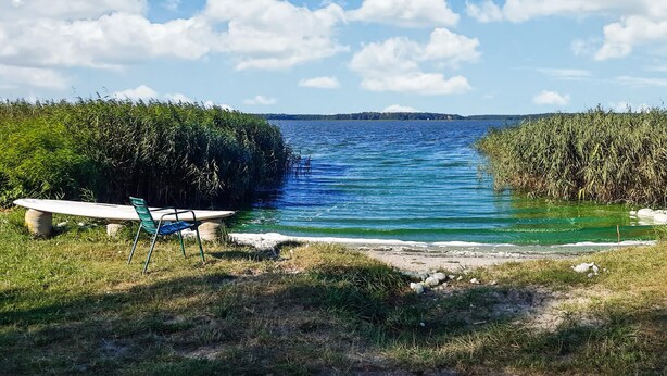 Vista sul lago con panchina e sedia vicino all'acqua, immersa in una vegetazione rigogliosa.