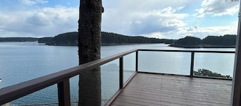 The Captain's View 