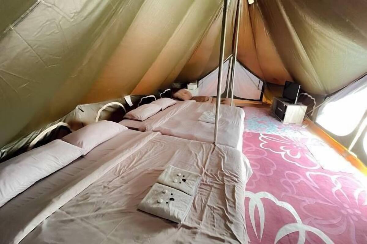 A tent with a bed, pillows, a power outlet, and a laptop on the floor.