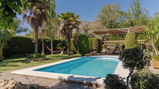 Una piscina rectangular con solárium empedrado, rodeada de abundante vegetación y una hamaca.