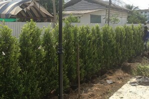 A row of green plants, a utility pole, and a white fence. - A-Place Suvarnabhumi (Bang Phli)