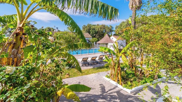 A pool area with lounge chairs, surrounded by lush greenery and banana trees. - Finca Naveda Barbate by Ruralidays (Cádiz)