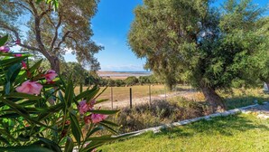 A rural landscape with a fenced field, trees, and a clear sky. - Finca Naveda Barbate by Ruralidays (Cádiz)