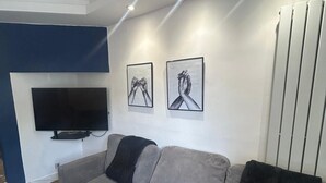 Living area - SUPERB SNUG studio sleeps 2 south london (London)