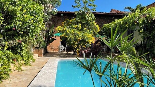A rectangular swimming pool with clear blue water, surrounded by a tiled deck and lush greenery, including various plants and trees.