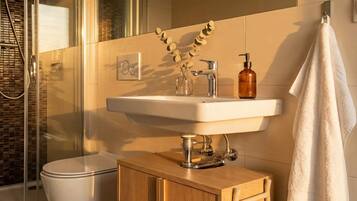 Shower, hair dryer, shampoo