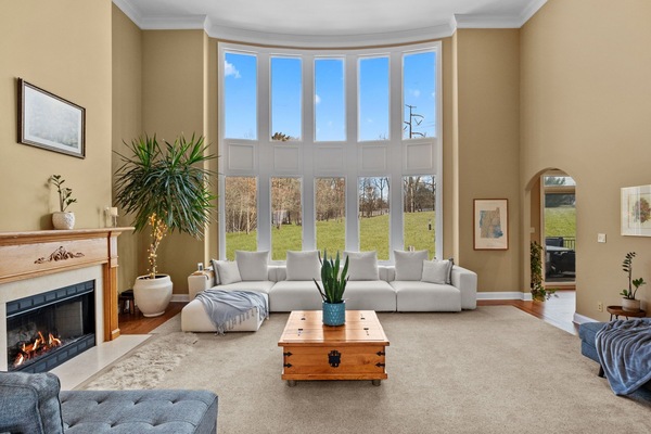 Smart TV, fireplace, video games, DVD player