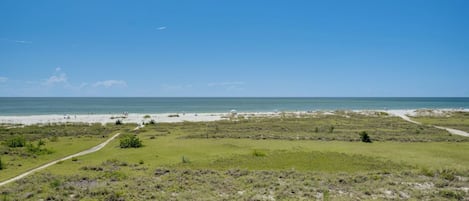 Ocean Views