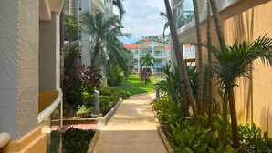 A corridor with a pathway flanked by palm trees and plants, leading to a building with a red roof. - Zafiro 316 Acapulco Diamante (Acapulco de Juárez)