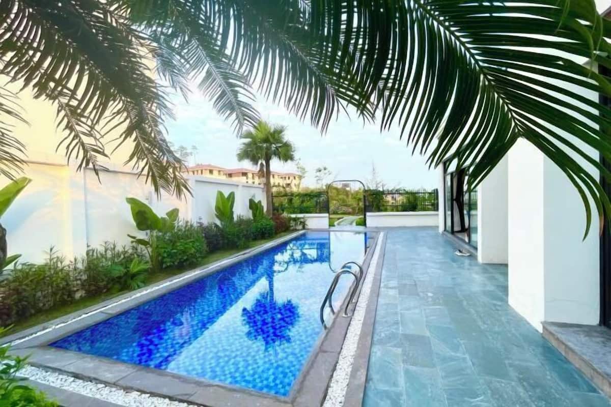 A swimming pool with a tiled edge, surrounded by greenery and a pathway.