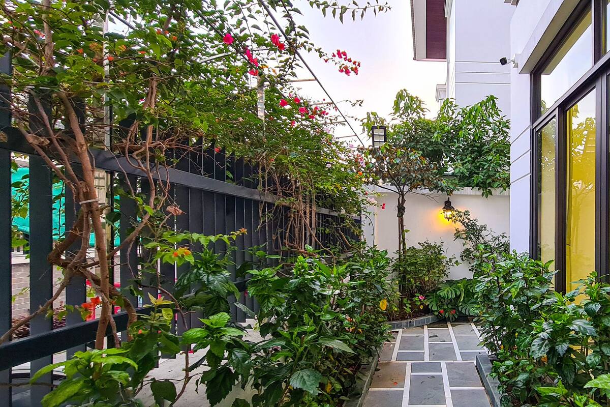 A narrow outdoor corridor with a stone pathway, lush greenery, and a modern building with large windows and a yellow accent wall.