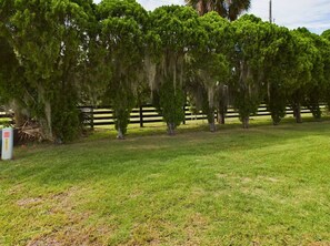 Property grounds - Cozy in Village of Silver Lake (Lady Lake)