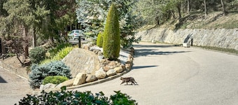 The Montana Park racó