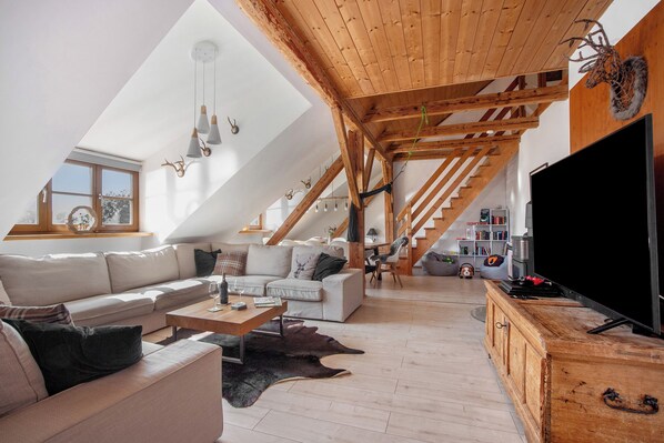 TV, fireplace, video games, DVD player