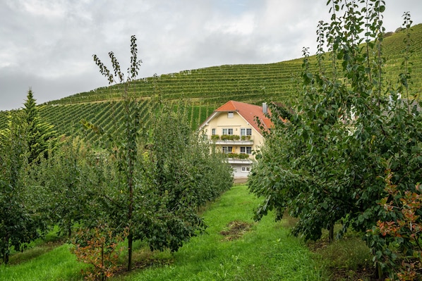 A building with a red roof, surrounded by green fields and trees.