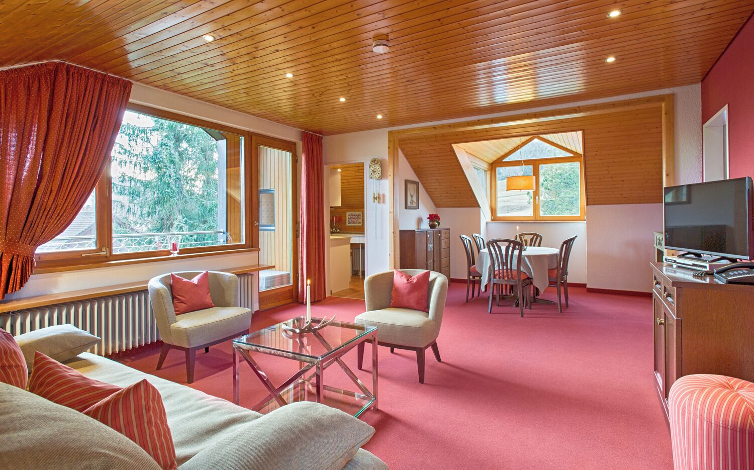 Télévision, lecteur de DVD, table de tennis de table, chaîne hi-fi