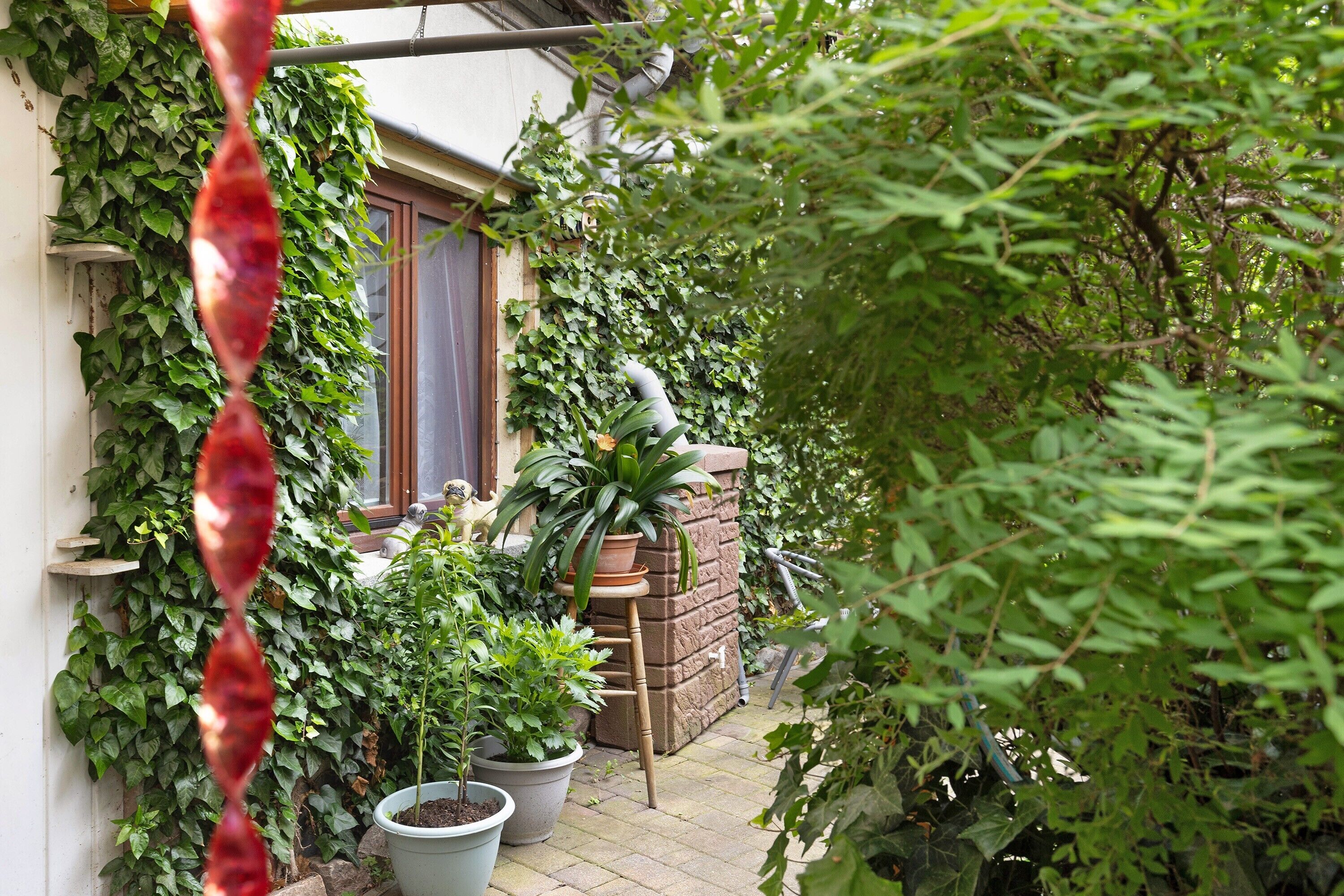 A garden with potted plants, a wooden ladder, and a brick wall.