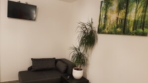 Un saló amb un sofà fosc, una planta en test, una figura de lleopard, un televisor fixat a la paret i un quadre amb un paisatge de bosc.