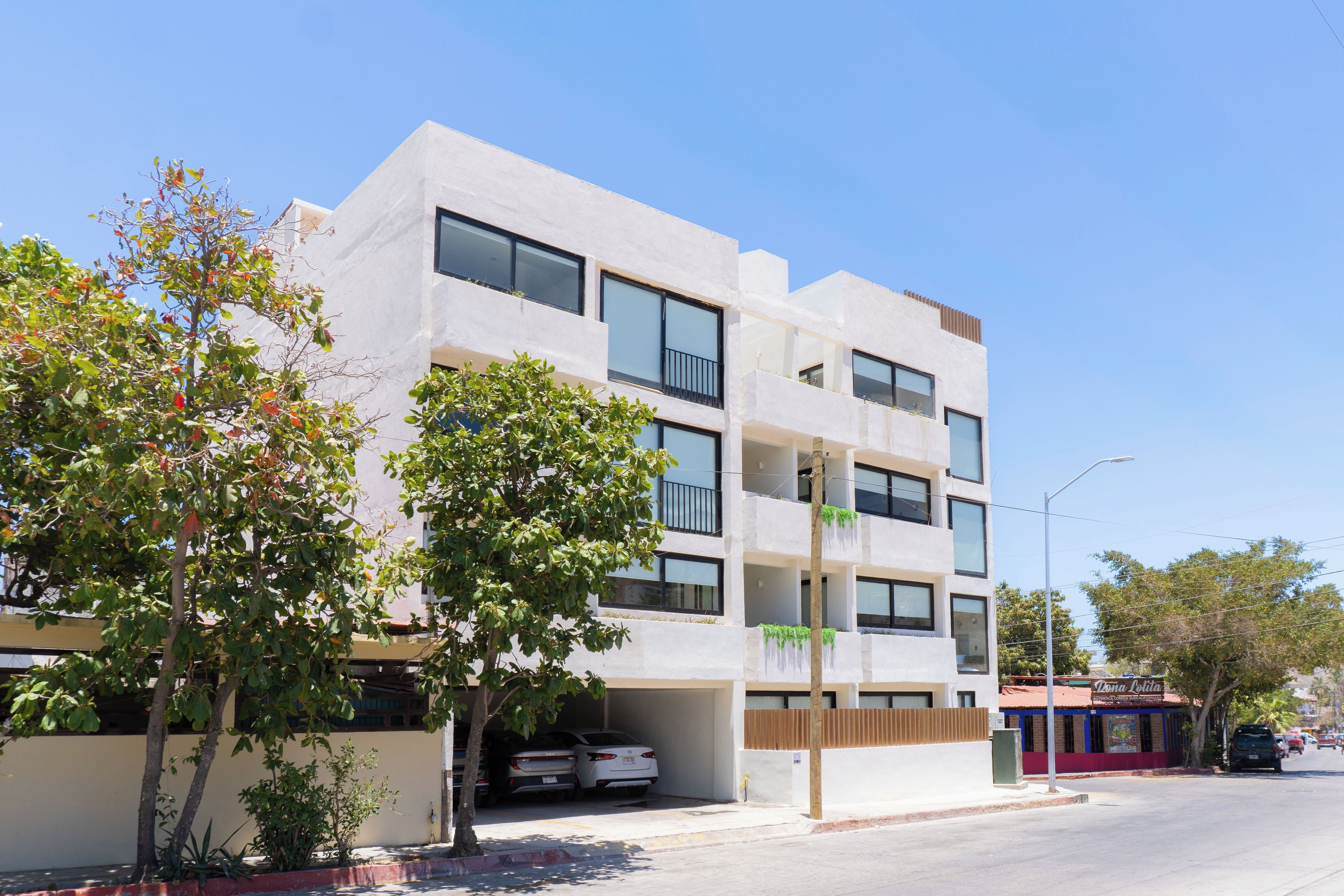 Foto - Colmena Hotel Los Cabos Marina