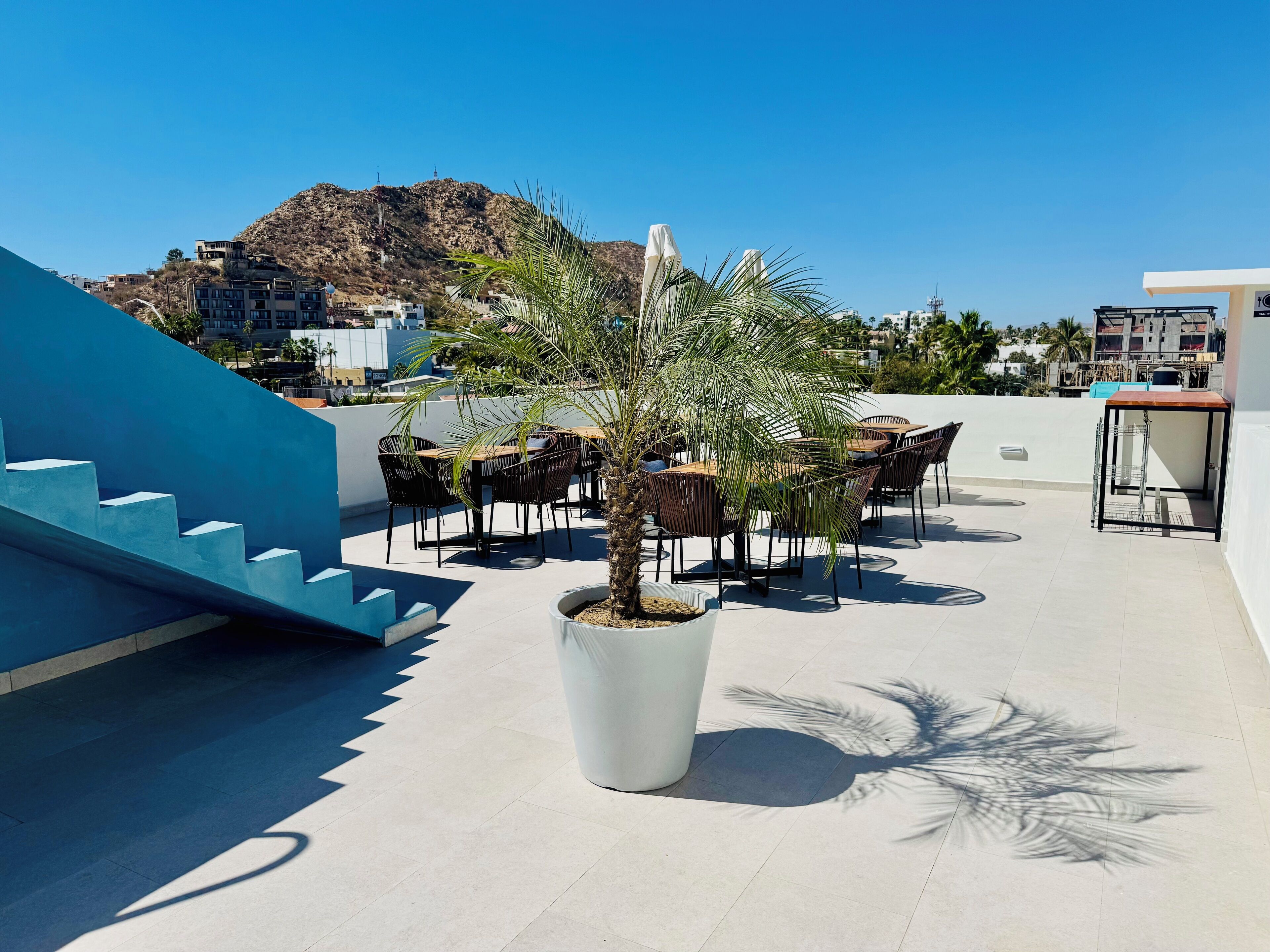 Foto - Colmena Hotel Los Cabos Marina