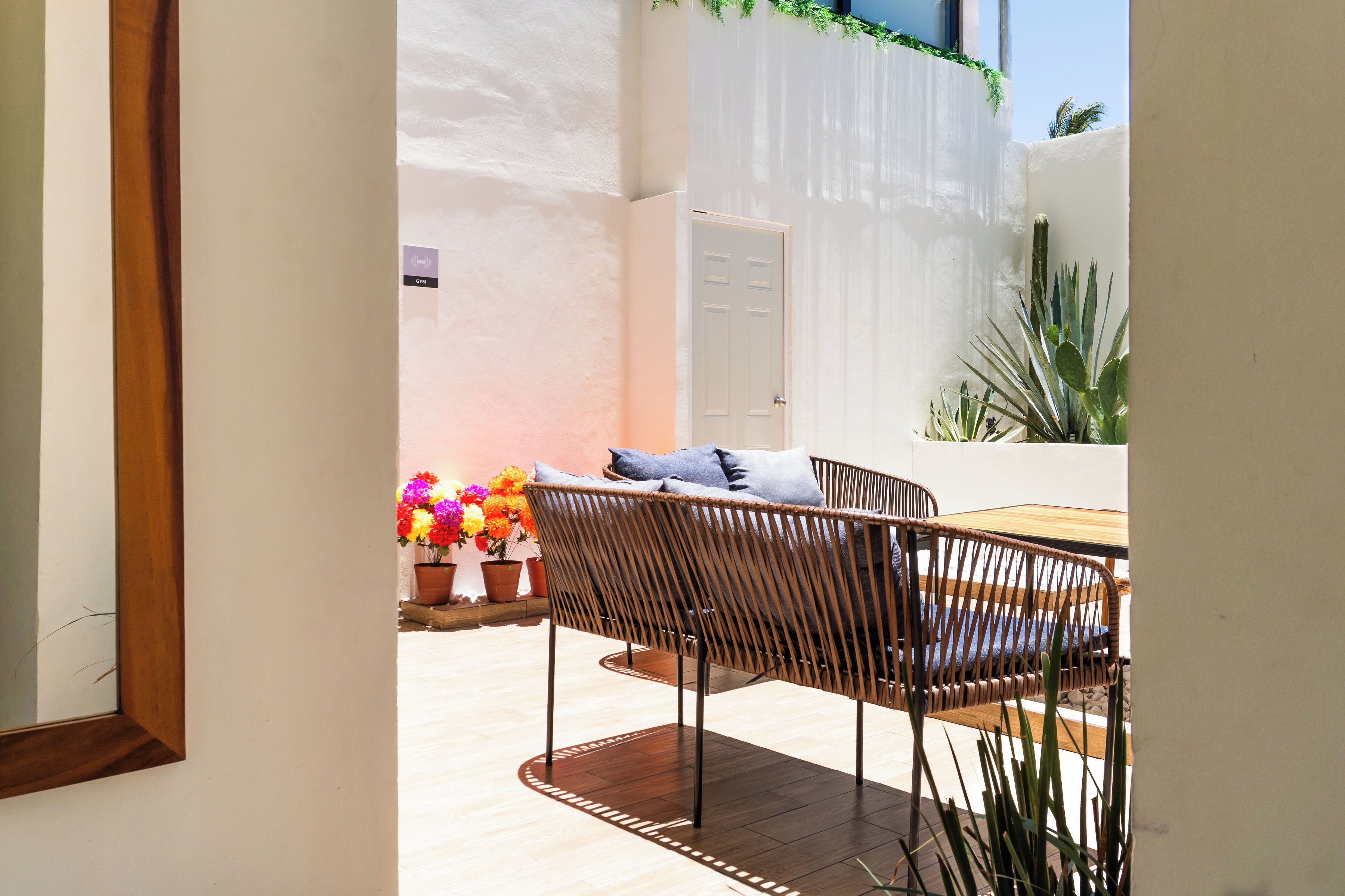 Terraza o patio