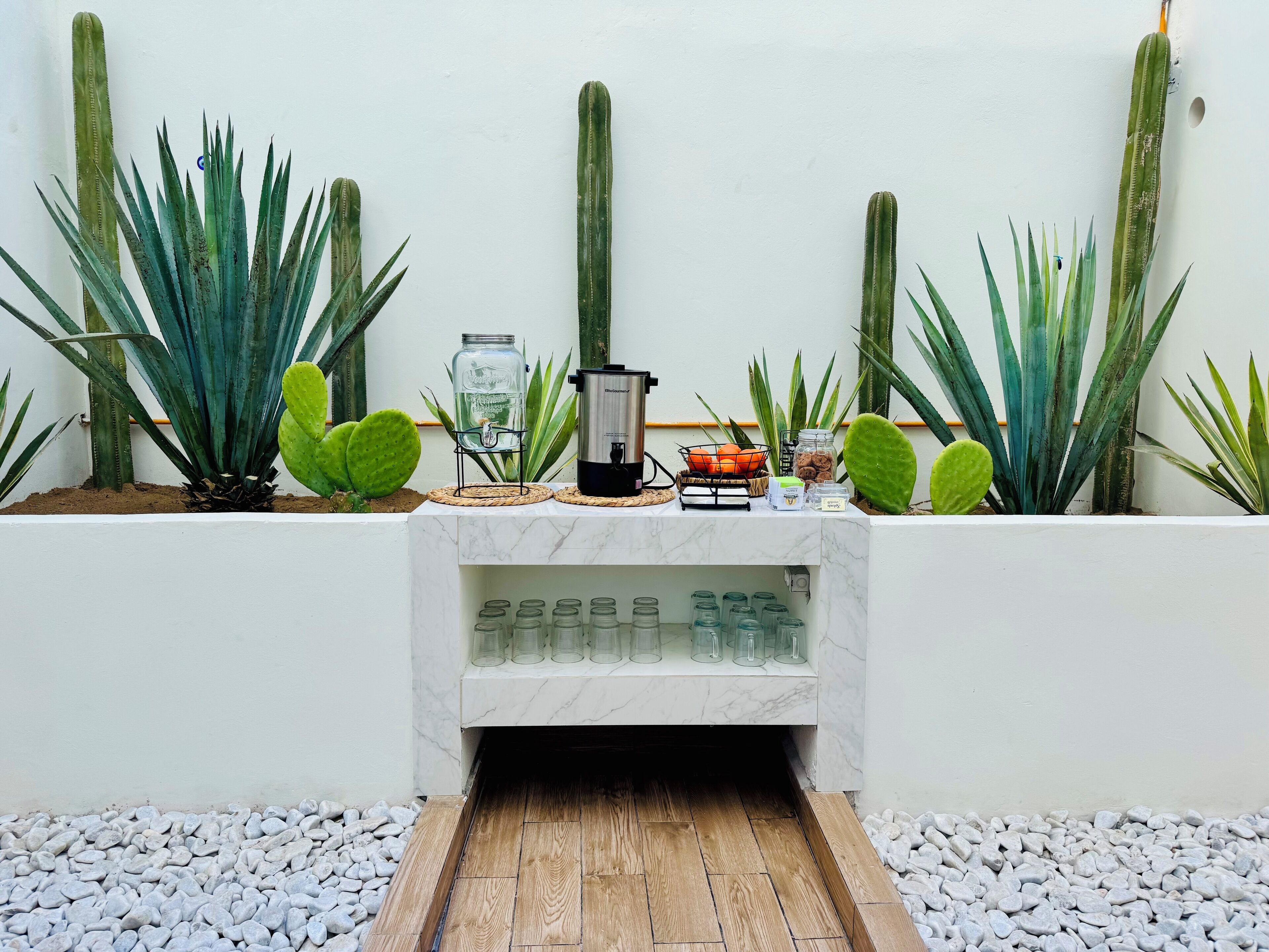 Terraza o patio
