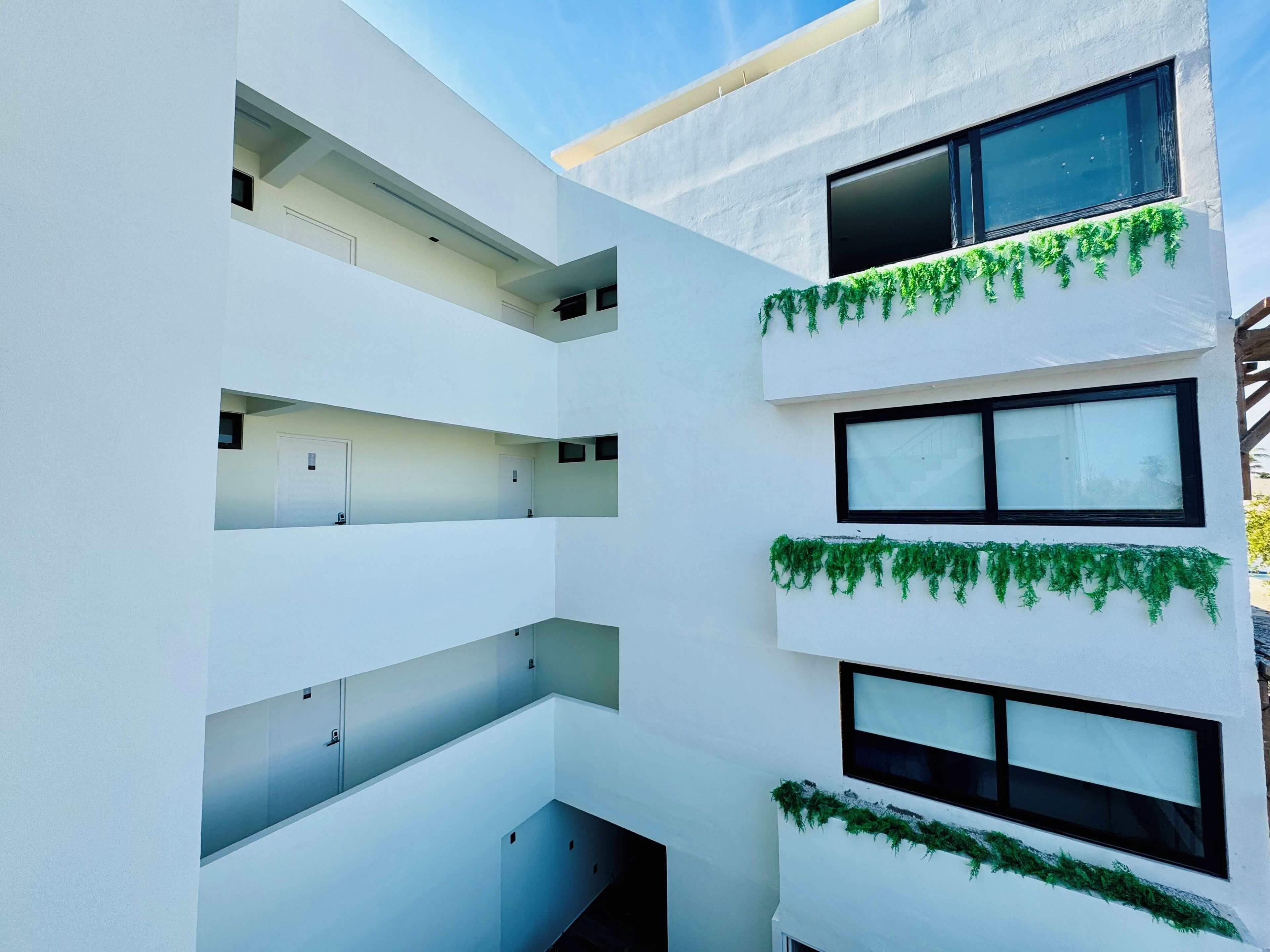 Foto - Colmena Hotel Los Cabos Marina