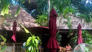 An outdoor seating area with wooden tables and chairs, covered by red umbrellas, surrounded by lush greenery and a stone wall with a sign. - 2 BR with infinity adult pool + family pool, ocean view, & best street in Playa! (Playa del Carmen)