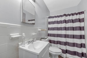 Bathroom features a sink, mirror, toilet, and shower.