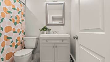 Hair dryer, towels, soap, toilet paper