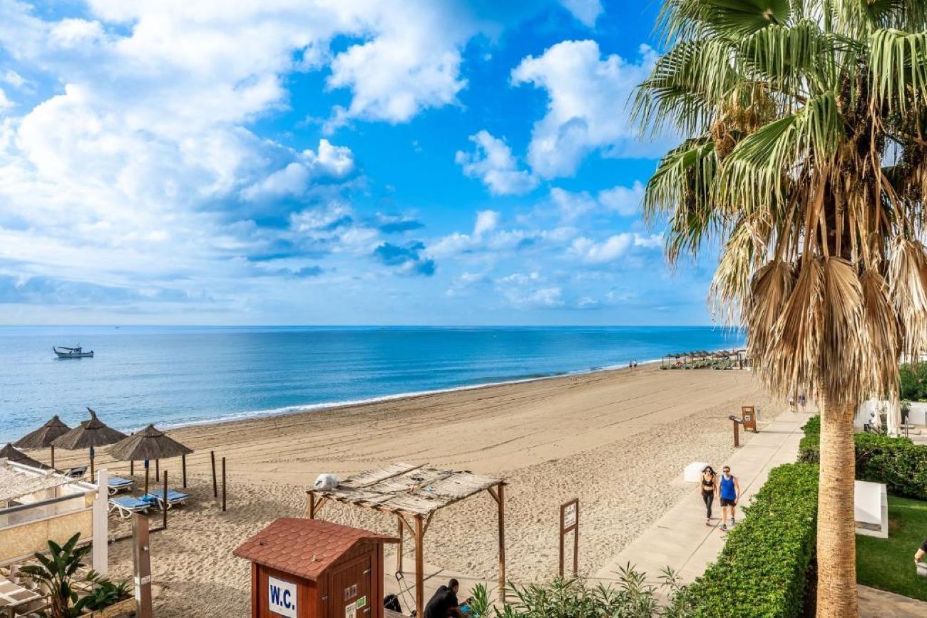 A beach with a clear sky, a palm tree, and a 'W.C.' sign.