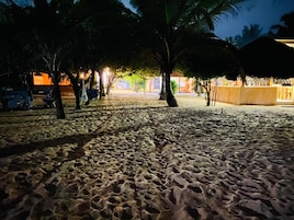 Uma área de praia arenosa com palmeiras e um edifício ao fundo.