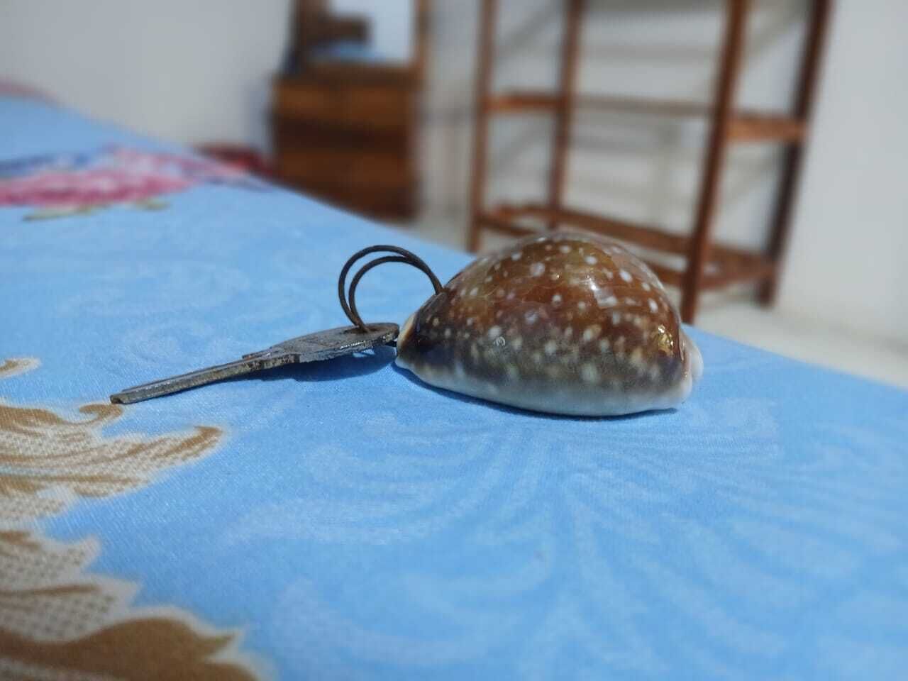 A snail on a blue surface with a patterned cloth.