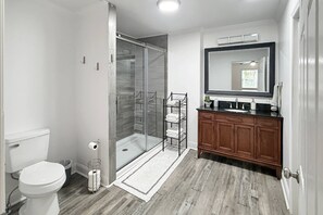Ducha, secador de pelo y champú