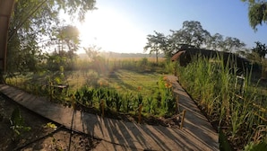 Garden - Pobitora Village Eco Camp (Mayang)