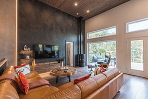 TV, fireplace, books