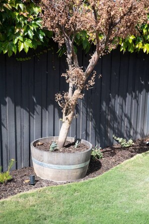 Property grounds - Spacious light-filled 3BD sanctuary in Northcote *Pet Friendly* (Northcote)