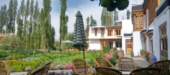 Terrific 4-bedroom house in Delhi