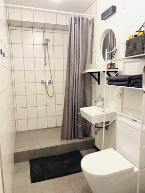 Shower, hair dryer, towels, soap - Cozy1-bedroom apartment in Vilnius City Center,1st floor, private entrance (Vilnius)