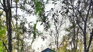 A small building with a porch, two chairs, and a sign reading "T-102". - Resort Nature Camp - Jatmai (Chhura)