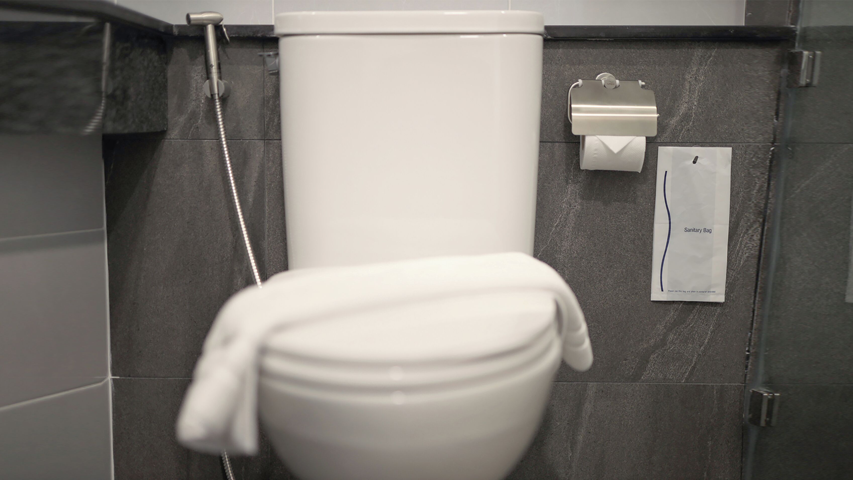 A modern bathroom with a white toilet, a showerhead, and a sanitary bag dispenser.