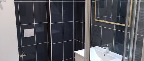 Shower, hair dryer, towels, toilet paper