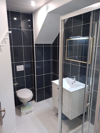 Shower, hair dryer, towels, toilet paper. Le Lupicin, a quiet, comfortable one-bedroom apartment
