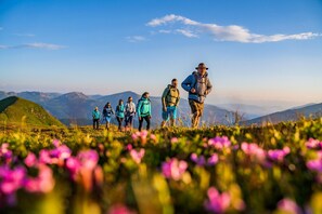 Unclassified image, 2 of 24, button